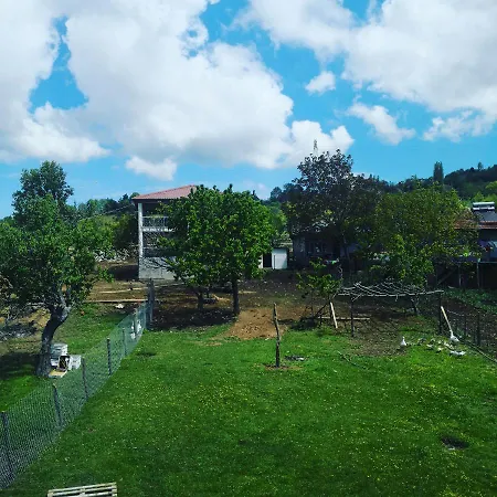 Dag Evi Munite בקתה